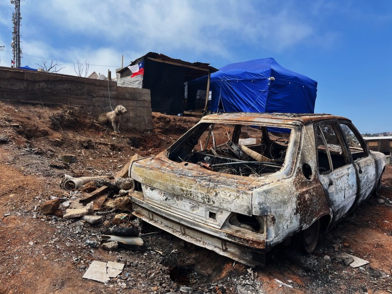 A burned-out car — with no windows and scorches along its sides — sits in a neighbourhood leveled by Chile's recent wildfires. A blue tent is seen in the background.