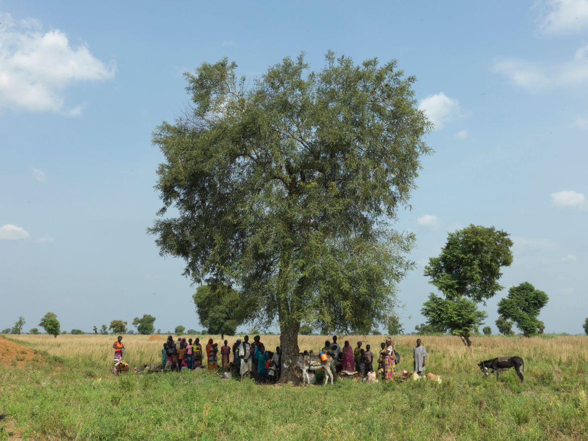 Refugees from Sudan find shelter under a tree on their way to Maban.