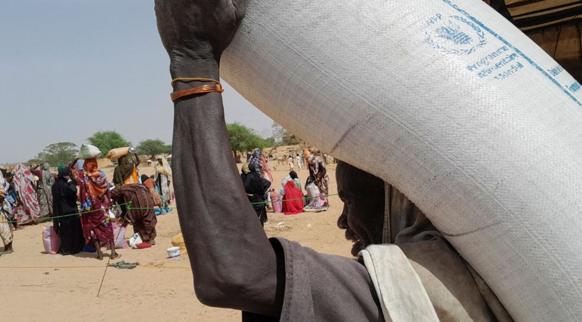 Who should step in to end the humanitarian crisis in Sudan? | Conflict