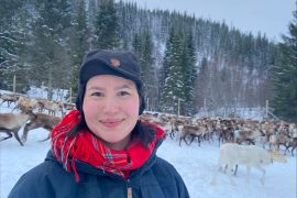 Maja Kristine Jama with her reindeer herd in Norway [Courtesy of Maja Kristine Jama]