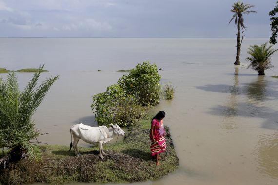 A woman walks towards an embankment after tying her cow to higher ground during high tide on Ghoramara Island, India, September 8, 2018. Ghoramara Island, part of the Sundarbans delta on the Bay of Bengal, has nearly halved in size over the past two decades, according to village elders. REUTERS/Rupak De Chowdhuri SEARCH "CHOWDHURI COASTLINE" FOR THIS STORY. SEARCH "WIDER IMAGE" FOR ALL STORIES.