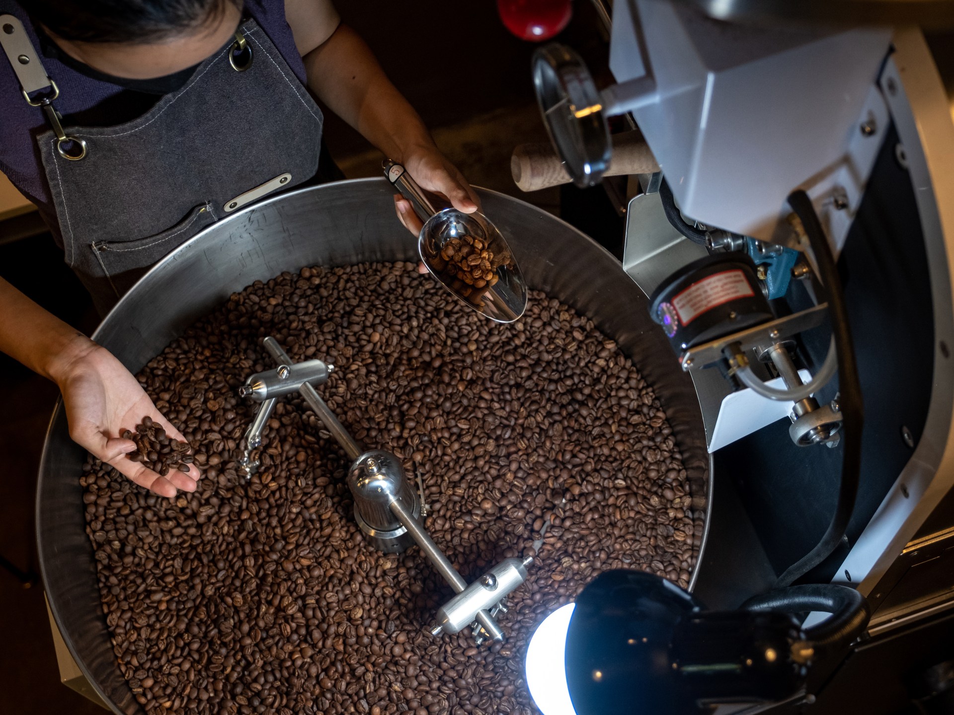 Climate change is killing quality coffee. Can Vietnam’s Robusta save it? | Food