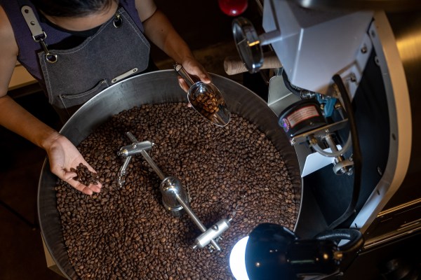 Тъй като изменението на климата застрашава зърната арабика, може ли качествената робуста да спаси кафето?