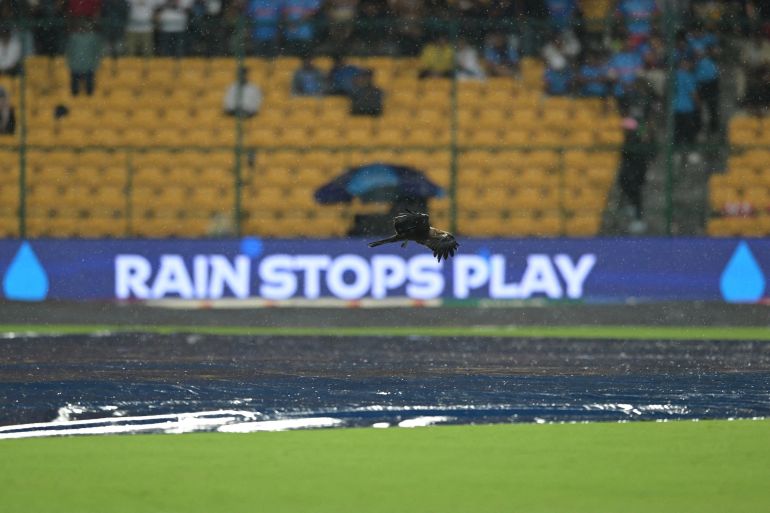 Rains halts play at the cricket
