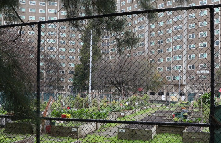 A community garden at the flats. There are vegetables planted in raised beds. The tower blocks are behind.