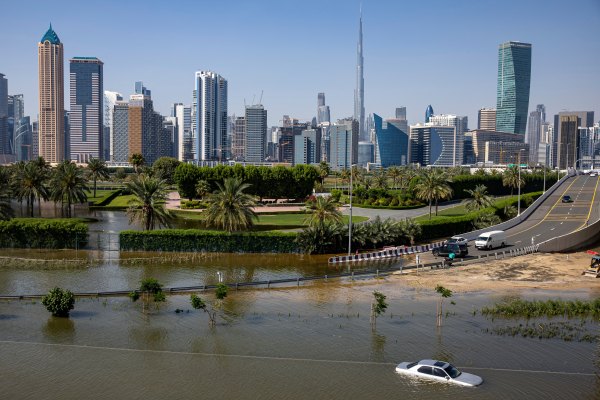 Седмица в снимки: От наводненията в Дубай до националните избори в Индия