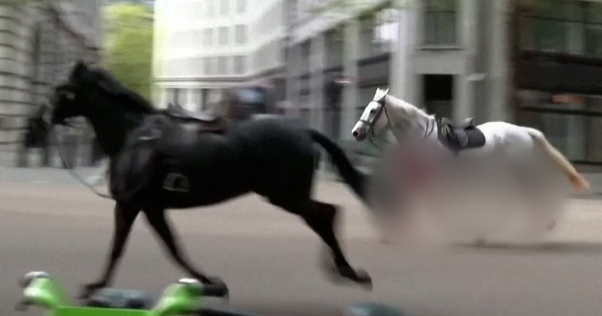 Escaped horses in central London injure four people