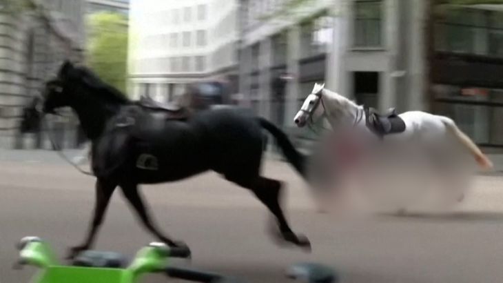 A pair of escaped military horses was caught on camera running through central London.