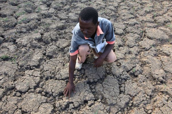 В Зимбабве е обявено извънредно положение а екстремната суша излага