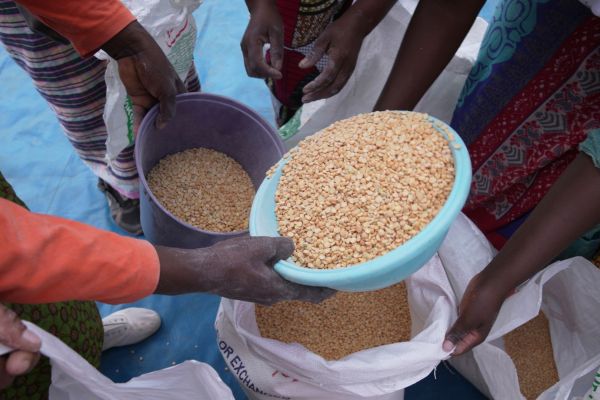 Как можем да намалим глобалната продоволствена несигурност?