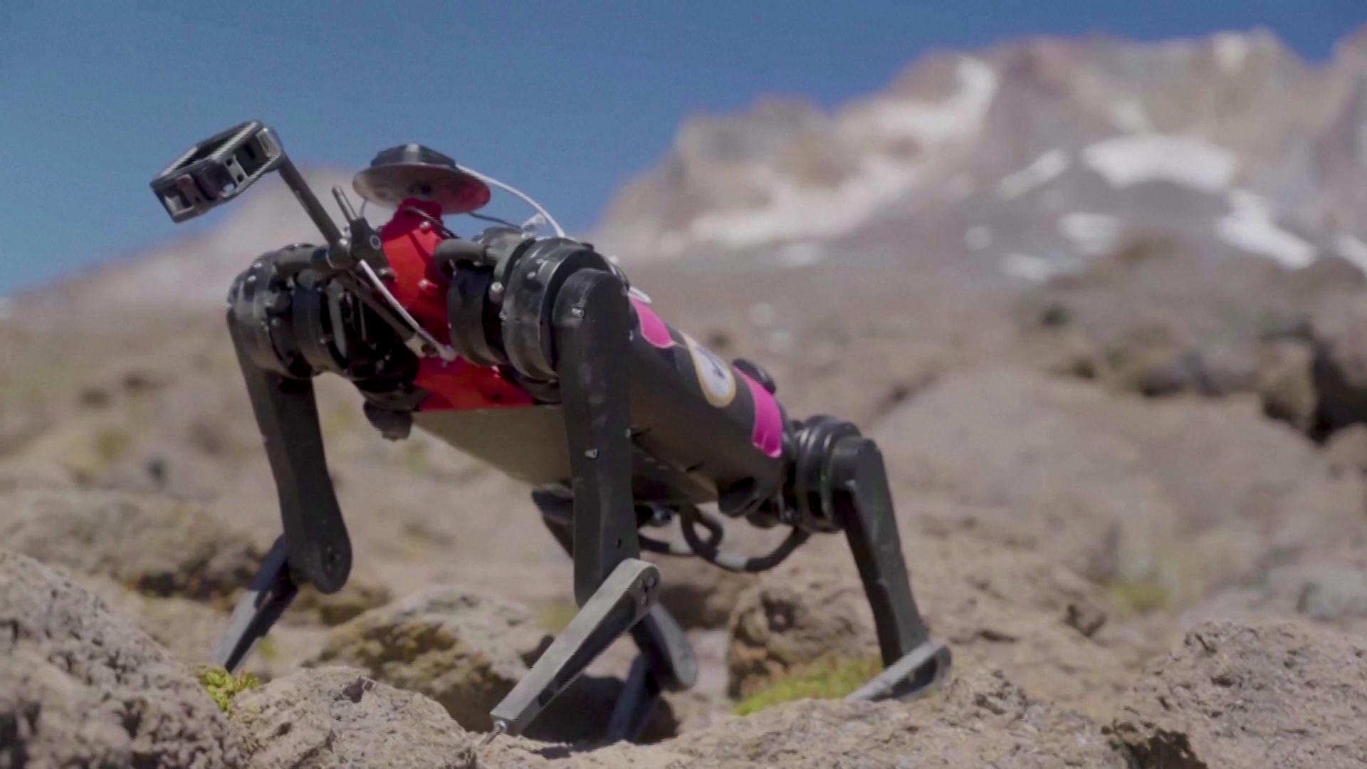 Four-legged “dog robot” could walk alongside humans on the Moon | Newsfeed