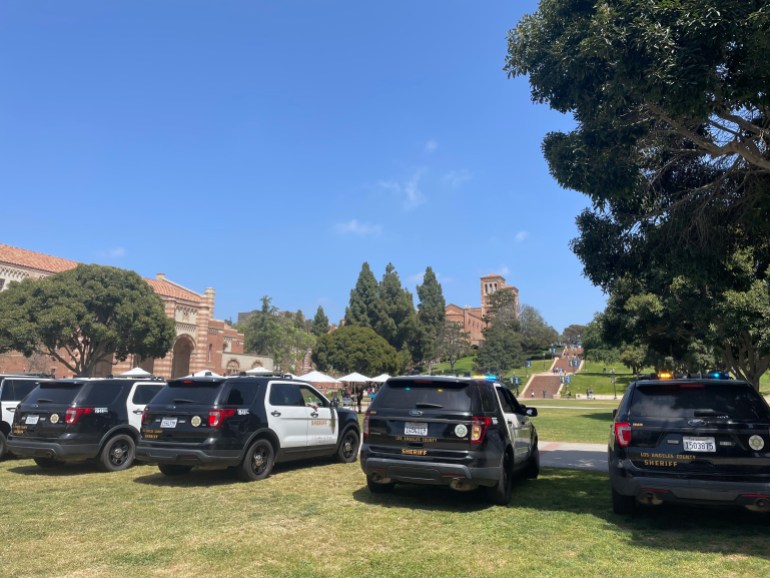 There is a row of police cars on the lawn at UCLA.