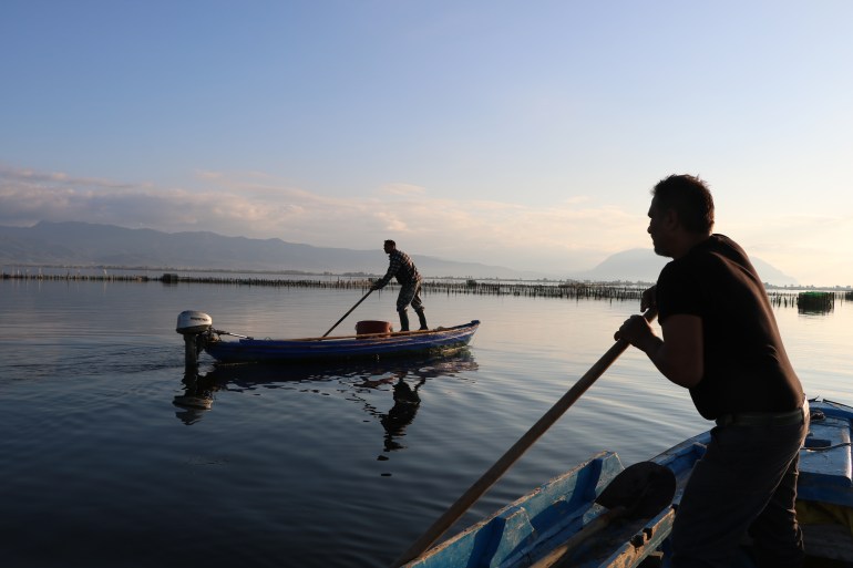 Yiannis and Alexis Theodoropoulos, father and son, punt their flat-bottomed boats to harvest fish from their divari, an enclosure that traps them as they swim against the tide - by John Psaropoulos