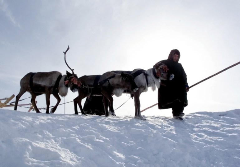 A Khanty villager leads his three reindeers through snow in Russia's Khanty-Mansyisk Siberian region.