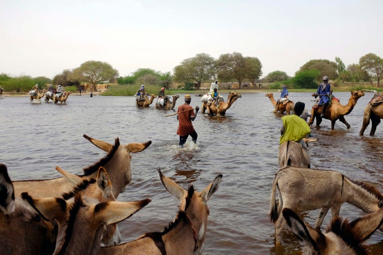 A photo of herdsmen and others crossing a tributary of Lake Chad.