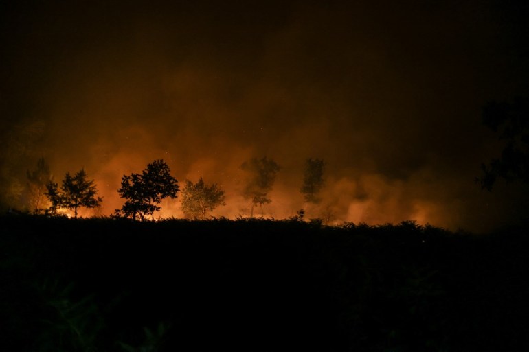 Forest burns in France